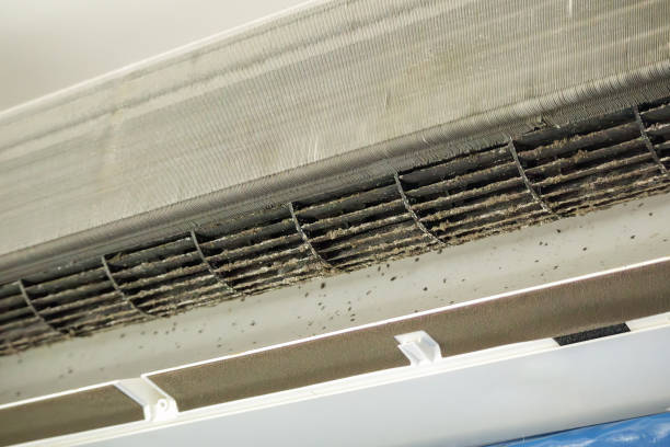 Best Air Duct Cleaning Company Near Me  in Athens, IL